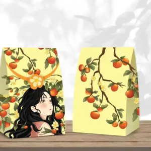 Alternative view of Túi giấy đựng quà tặng